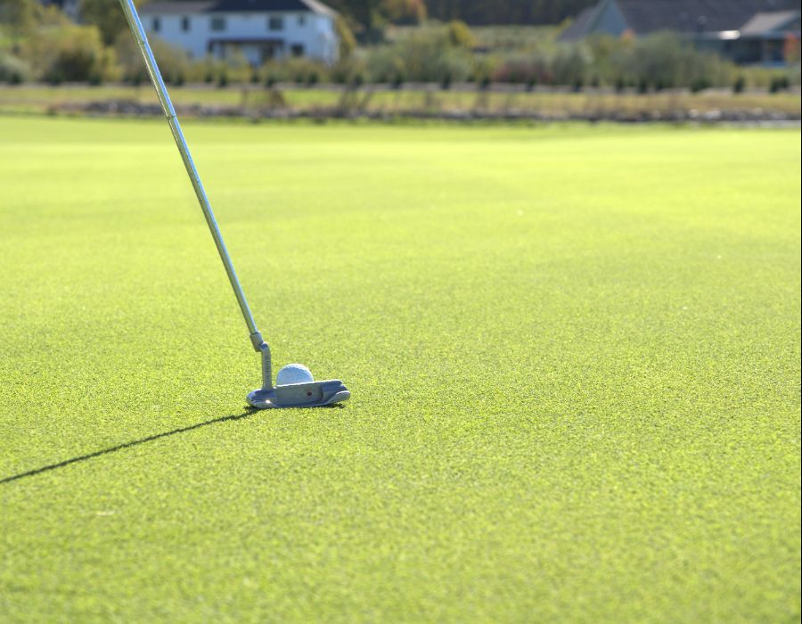 affordable turf in new england-010