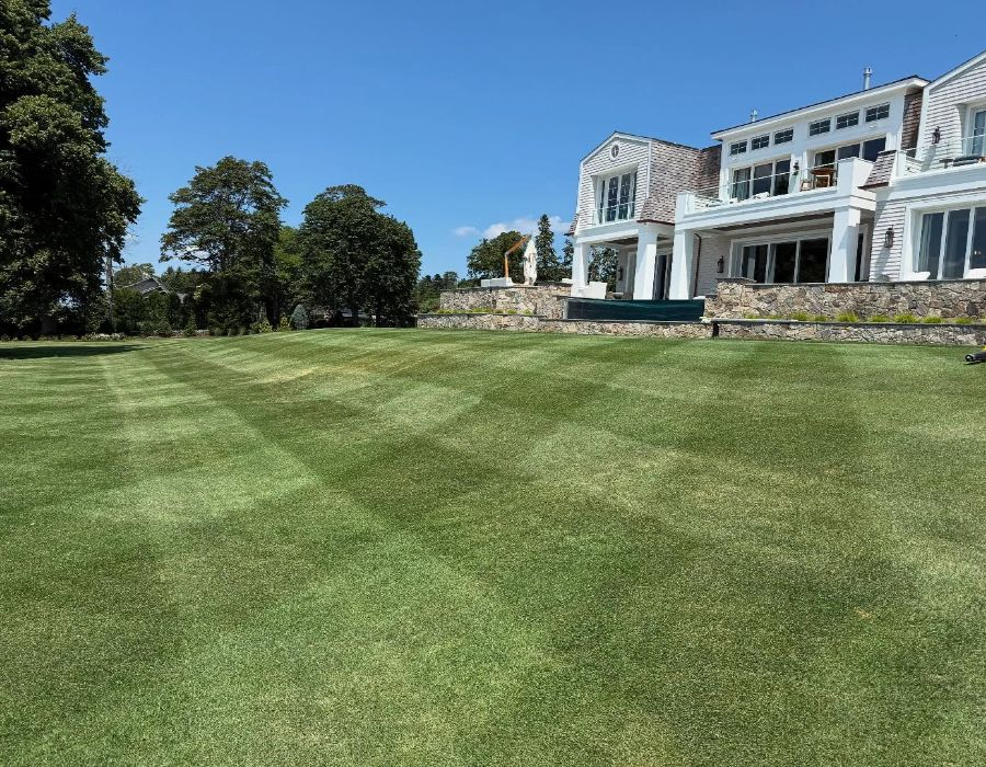 premium turf & professional installation near me-001