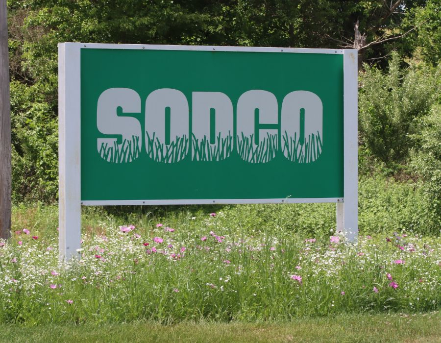 premium turf & professional installation near me-004