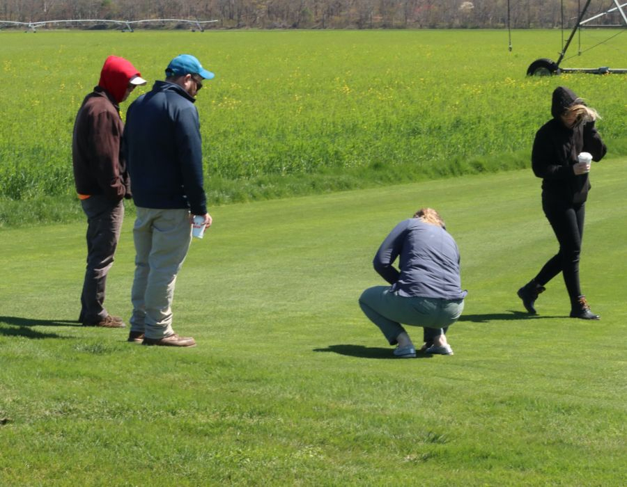 premium turf & professional installation near me-005