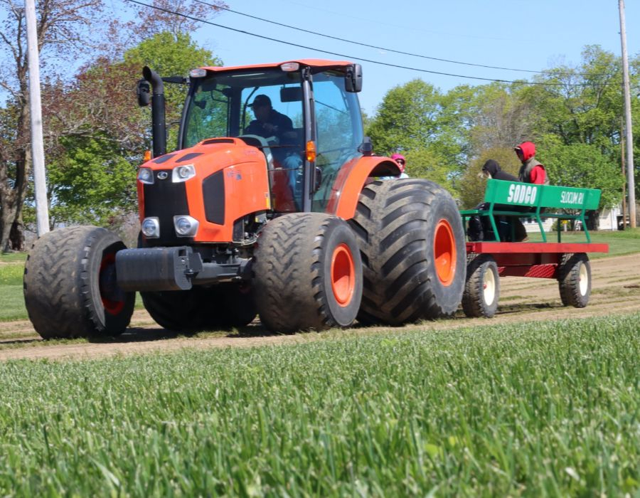premium turf & professional installation near me-006